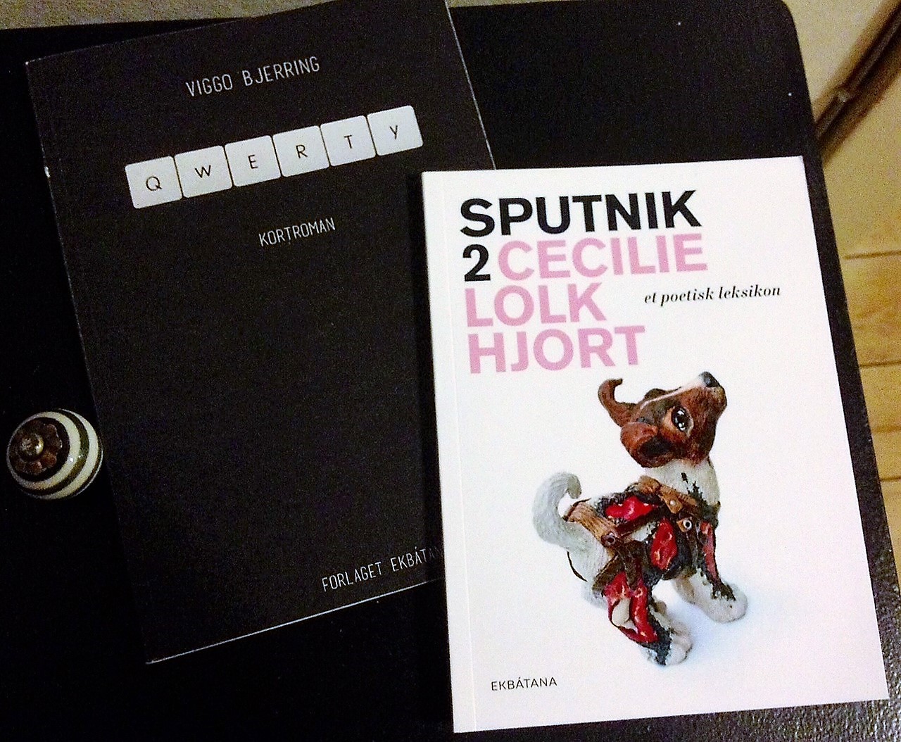 gode anmeldelser, Sputnik 2, cecilie lolk hjort, viggo bjerring, qwerty, poetisk leksikon